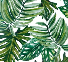 Пленка самоклеящаяся Монстера тропическая 5833 450x7000 мм
