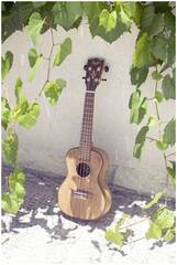 Укулеле концерт FLIGHT DUC430 DAO