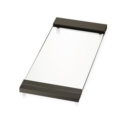 Decor Walther 0848817 Decor Walther Classic Tab 37 Лоток универсальный 37x17см, прозрачное стекло, цвет: темная бронза (Снято с пр-ва) фото