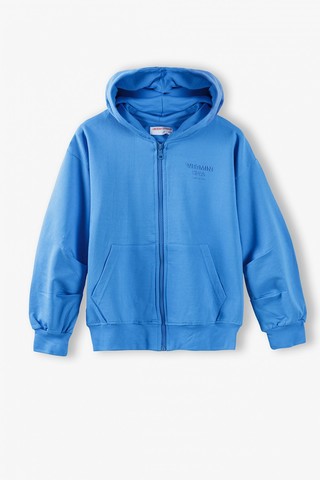 Толстовка LINCOLN & SHARKS