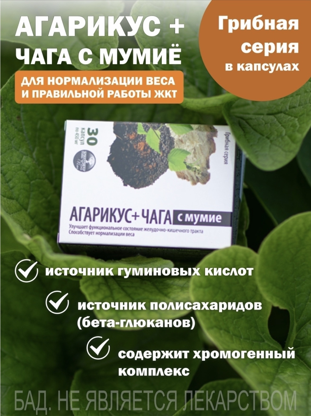 ГРИБ АГАРИКУС и ЧАГА с мумиё №30, натуральные экстракты - купить по  выгодной цене | Новая Эра - Пептиды в Казахстане