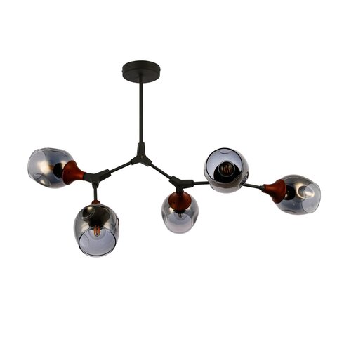 Светильник потолочный Evoluce Ciotolla SLE113402-05