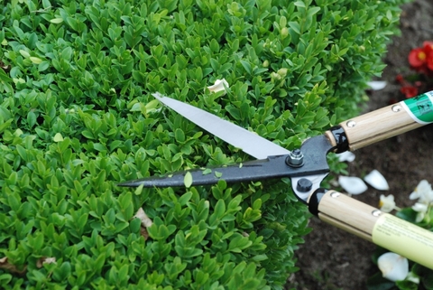 Ножницы садовые для живой изгороди Okatsune 216