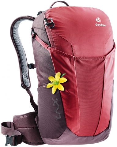 Картинка рюкзак для ноутбука Deuter Xv 1 Sl Cranberry-Aubergine - 1