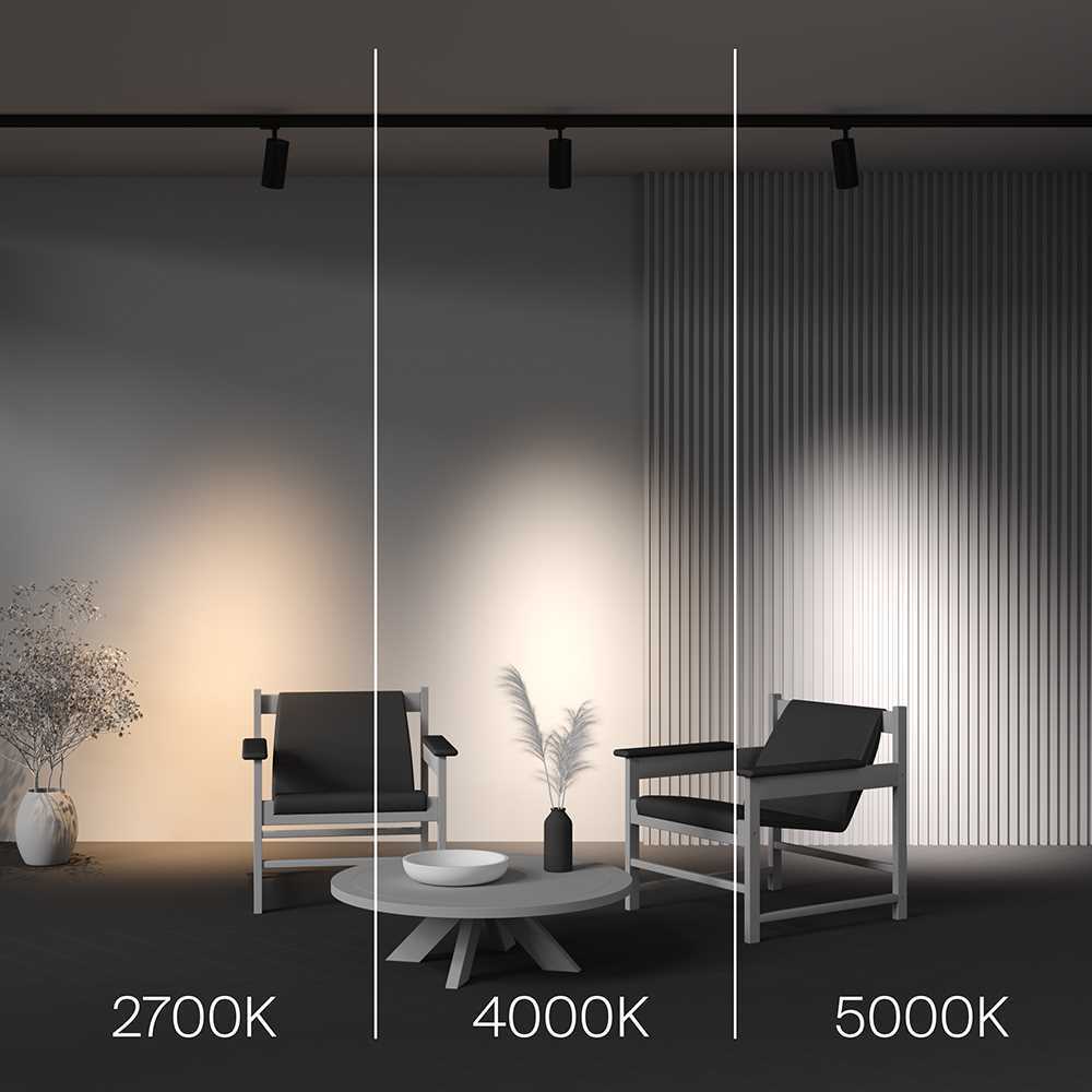 Трековый светодиодный светильник Maytoni Technical Focus Led TR197-3-30WCCT-M-B
