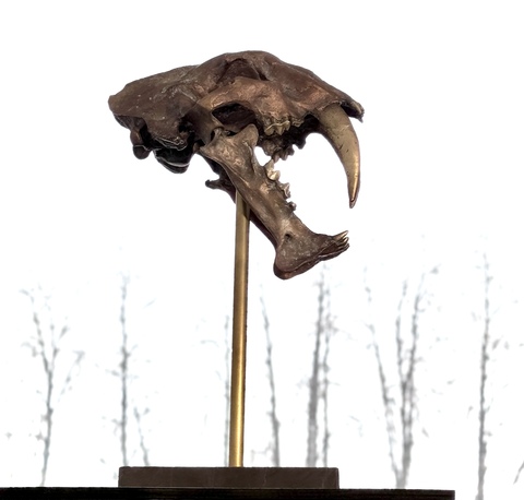 Megantereon из бронзы