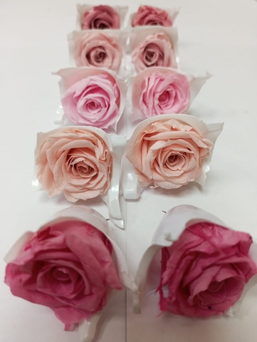 Роза 2-3 см Набор микс 9 (10шт)