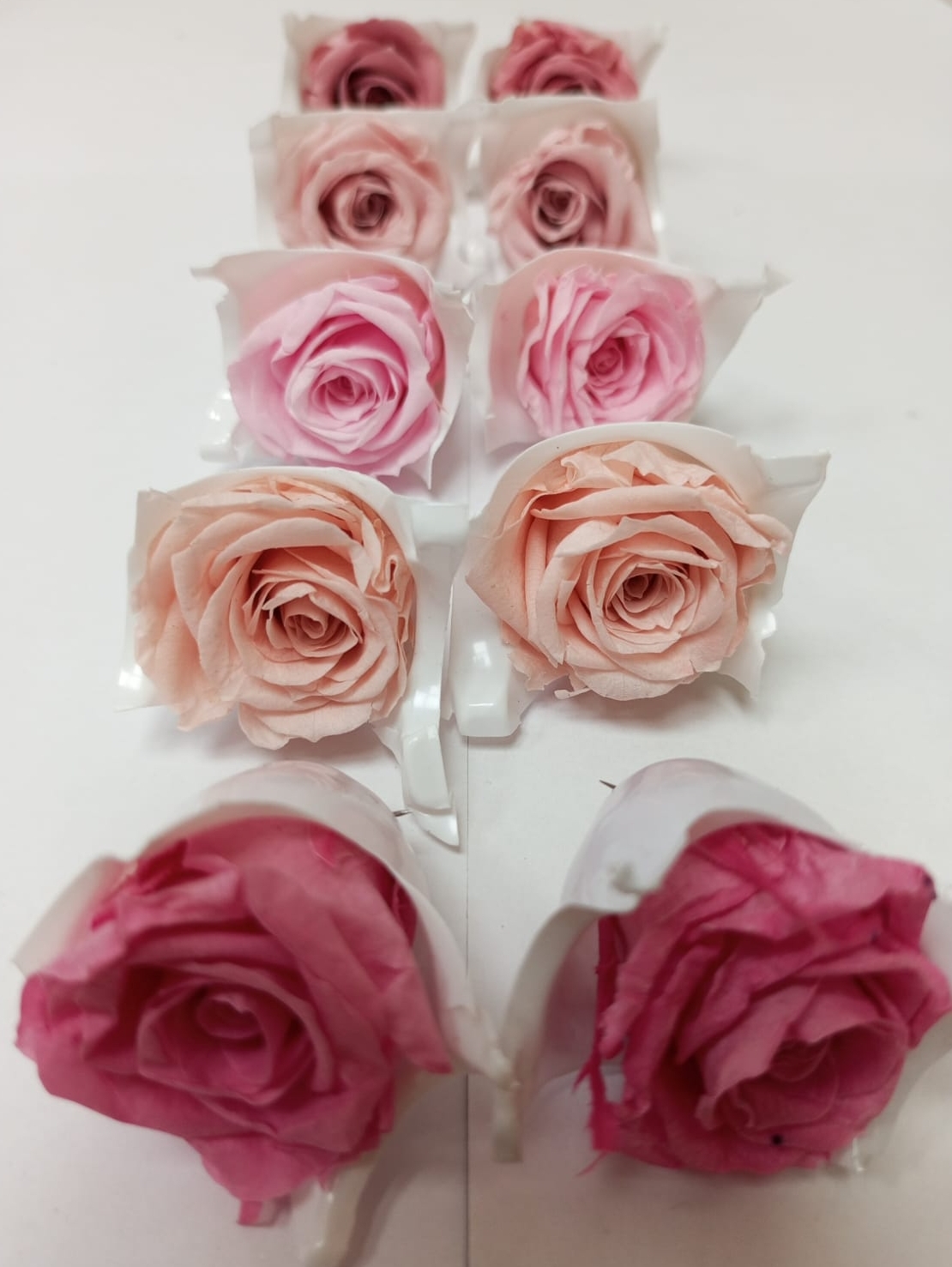 Роза 2-3 см Набор микс 9 (10шт)