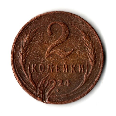 2 копейки 1924 гладкий гурт VF (6)