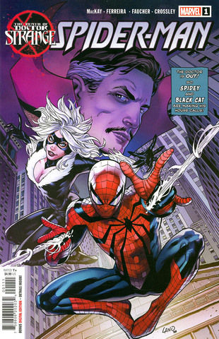 Death Of Doctor Strange Spider-Man #1