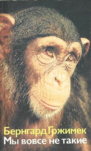 Мы вовсе не такие
