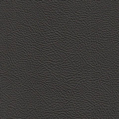 Искусственная кожа auto Bielastisch (Биэластик) 238-1808