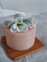 Силиконовая форма 