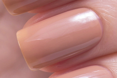 El Corazon 423/  50 active Bio-gel/ Jelly беж с коричневым подтоном