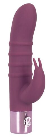 Фиолетовый вибратор-кролик с ребрышками Rabbit Vibe - 16 см. - Orion You2Toys 05998830000