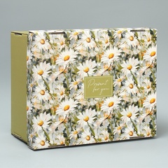 Коробка самосборная одиночная Прямоугольник,  31*25.5*16 см, «Ромашки», 1 шт.