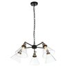 Люстра подвесная ST Luce Evoluto SL237.413.05