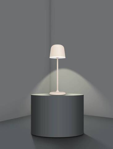 Аккумуляторная настольная лампа Eglo MANNERA 900461