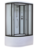 Timo Душевая кабина Standart 120*85*220 (T-6620BFR)