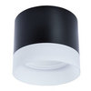 Светильник точечный Arte Lamp Castor A5554PL-1BK