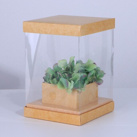 Коробка аквариум «Крафт», 16 х 23 х 16 см