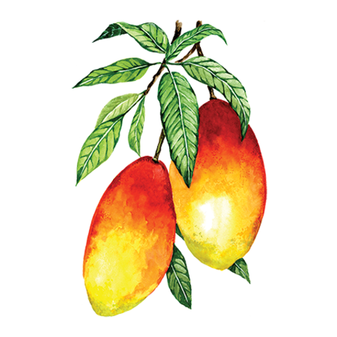 Сироп Манго ProffSyrup