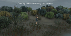 Storm Boy (для ПК, цифровой код доступа)