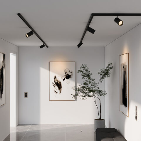 Магнитный трековый светильник Elektrostandard Slim Magnetic R02 12W 3000K 85012/01 черный