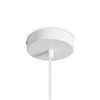 Подвесной светильник Freya Shapes FR5530PL-01W