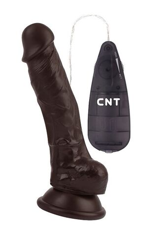 Коричневый вибратор-реалистик Super Realistic Vibrating Dildo - 18,5 см. - CNT CNT-180123D
