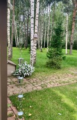 Дождевая цепь «Ведра на кольцах. Большие. 8 см.»