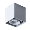 Светильник точечный Arte Lamp Pictor A5654PL-1GY