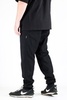Штаны BLK Crown Base black