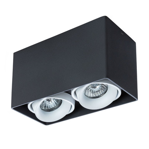 Светильник точечный Arte Lamp Pictor A5654PL-2BK