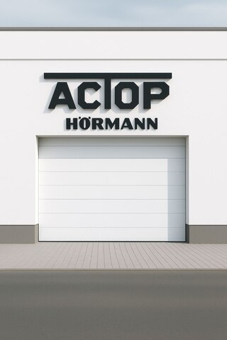 Гаражные ворота Херманн/Hormann LPU 42. Пружины растяжения. *Разные размеры