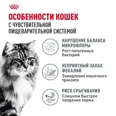 Royal Canin FCN Digestive Care сухой корм для взрослых кошек старше 1 года с чувст пищев 400 гр