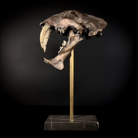 Megantereon из бронзы