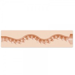 FLESHLIGHT GIRL Мастурбатор Maitland Ward Tight Chicks (анус)