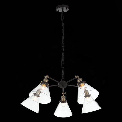Люстра подвесная ST Luce Evoluto SL237.413.05