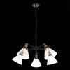 Люстра подвесная ST Luce Evoluto SL237.413.05
