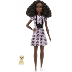 Кукла Барби серия Barbie Карьера Career Фотограф