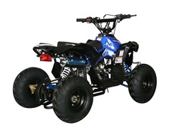 Детский бензиновый квадроцикл ATV CAT 50cc с электростартером