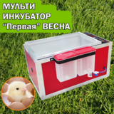 Мульти инкубатор ВЕСНА "Первая", на 77 куриных яиц