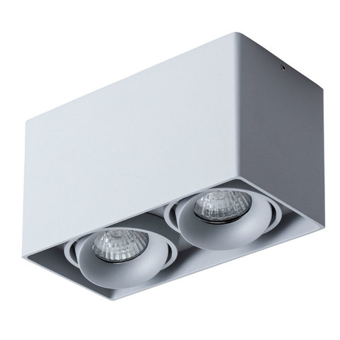 Светильник точечный Arte Lamp Pictor A5654PL-2GY