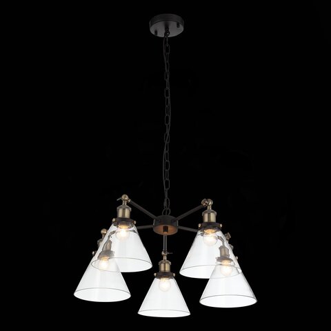 Люстра подвесная ST Luce Evoluto SL237.413.05