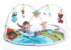 Tiny Love Развивающий коврик с дугами 