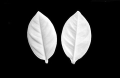 Силиконовый вайнер лист универсальный № 10