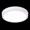 Светильник настенно-потолочный ST Luce ST112.532.18