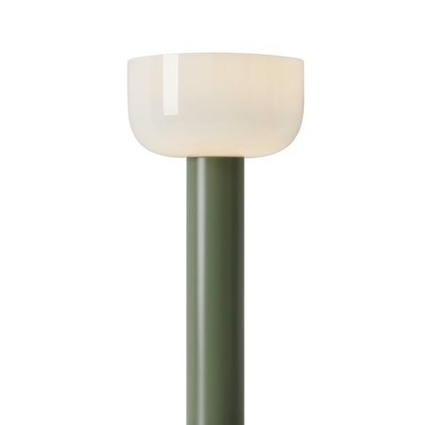 Настольная светодиодная лампа Freya BARRIES FR6185TL-L5GN