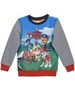 Свитшот утеплённый, Paw Patrol (Щенячий патруль)